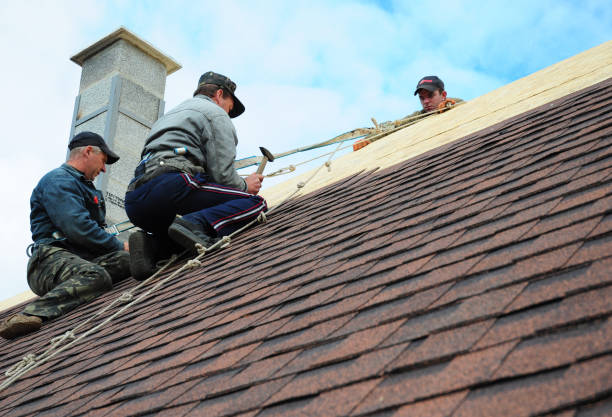 Residential Roof Replacement in Stony Brook University, NY